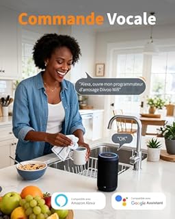 Diivoo Programmateur Arrosage WiFi 2 Zones avec Entrée et Sortie en Laiton, Minuteur Arrosage Intelligent avec Compatible avec APP et Vocal Alexa, Programmateur Arrosage WiFi pour Jardin et Pelouse