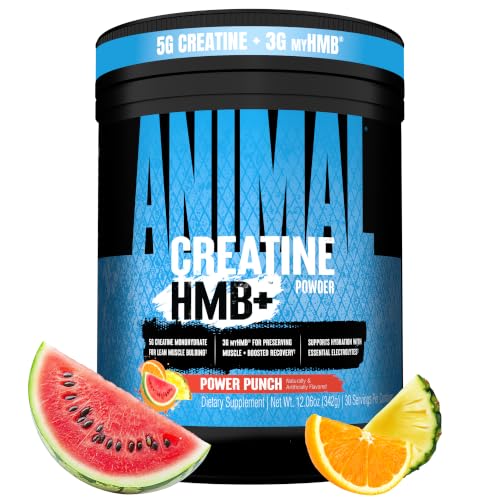 Animal Creatine HMB Powder 3g myHMB + 5g Creatine with Electrolytes for Recovery & Daily Energy Power Punch Flavor 30 Servings