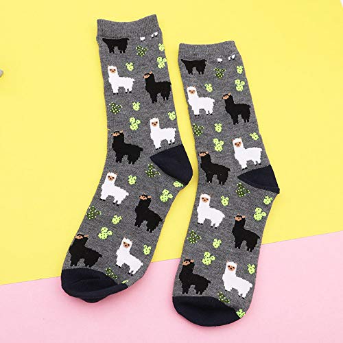 Chaussettes arc-en-ciel en coton doux et respirant pour femme