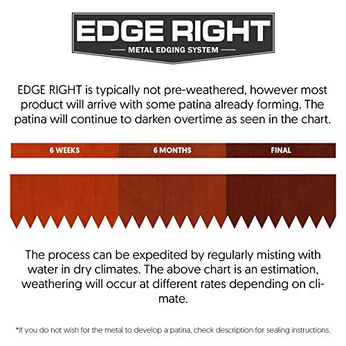 Edge Right - Hammer-In Landscape Edging - 48 Inch Strips - 14-Gauge Cor-Ten Steel - 8 Inch Depth (1 Pack) #TOP7