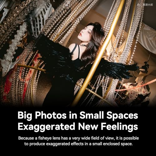 7.5mm F2.8 II Ultra Wide-Angle Fisheye Manual Focus APS-C Mirrorless Camera Lens for M43 - Image 6