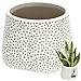 KOTARBAU® Blumenübertopf unglasiert Mattes Finish Grau bauchig ⌀ 11 cm | H 11 cm 1 St. Blumenübertöpfe Übertöpfe für Zimmerpflanzen Keramik-Blumentopf Gross Blumentopf modern