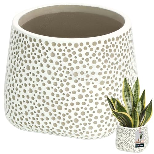 KOTARBAU® Blumenübertopf unglasiert Mattes Finish Grau bauchig ⌀ 11 cm | H 11 cm 1 St. Blumenübertöpfe Übertöpfe für Zimmerpflanzen Keramik-Blumentopf Gross Blumentopf modern