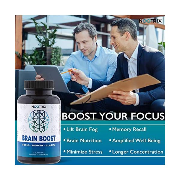 Brain-Boost-by-Nootrix-2-Pack-120-Capsules-Premium-Nootropic-Supplement-Improves-Cognitive-Function-Memory-Enhances-Focus-Boosts-Concentration-Provides-Clarity-for-Men-and-Woman Nootrix Brain Boost - Premium Nootropic Brain Support Supplement | Supports Memory, Focus, Concentration & Clarity Formula | DMAE, Ginkgo Biloba, Bacopa Monnieri(120 Count - Pack of 2)