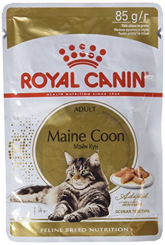 Royal Canin Cibo Umido per Gatti Maine Coon - Confezione da 12 x 85 grammi