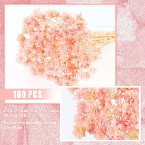 100 piezas Mini flores secas decorativas brasileñas miniatura 2