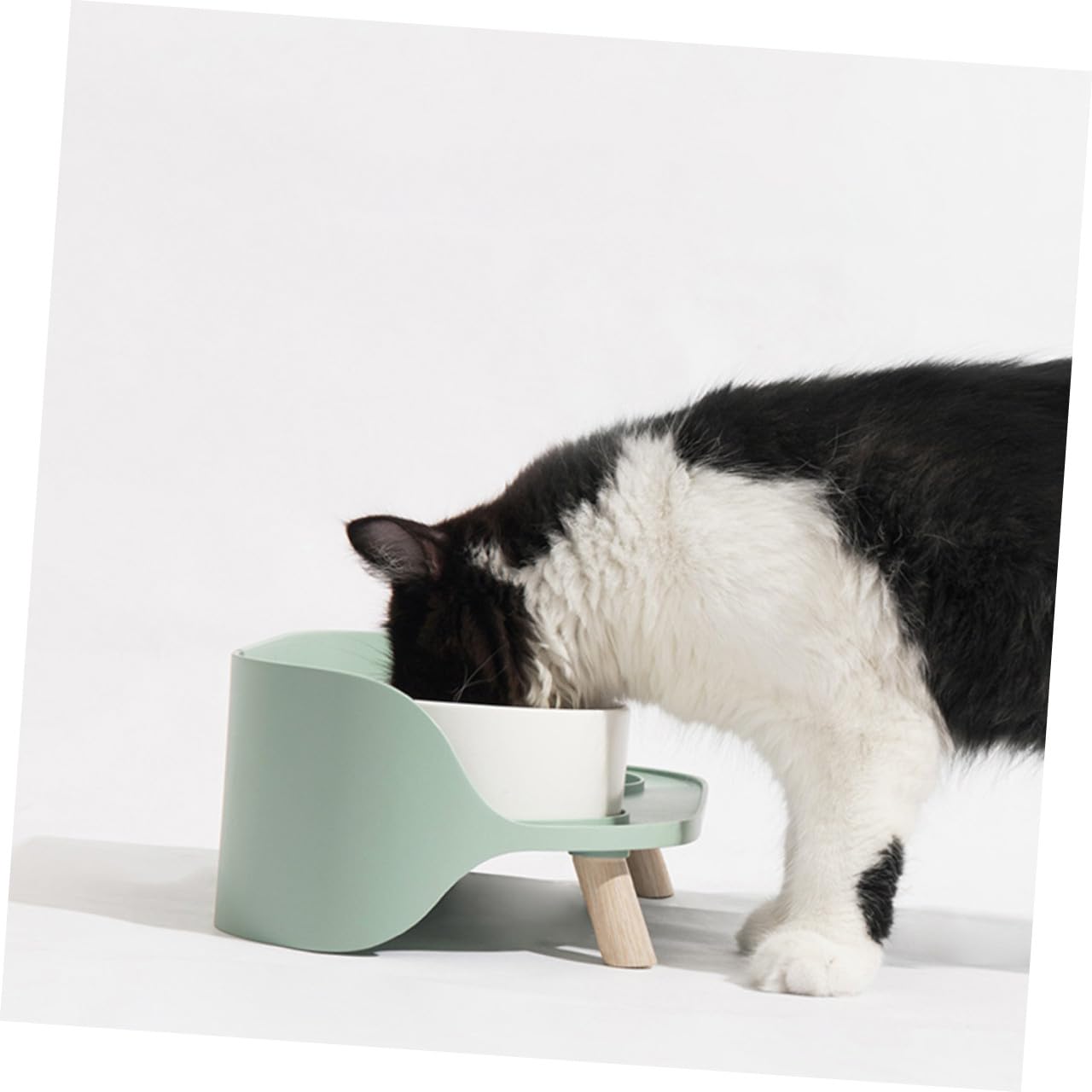 1 Pieza tazón de Gato de cerámica aumentó comedero para Gatos Elevado Cat Water Fountain Comedero Estable Cuenco Doble de pies Altos comedero para Mascotas el plastico Green