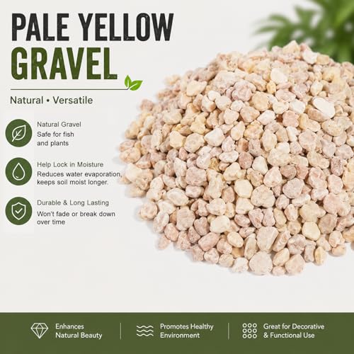 Image of CONSDAN 12 LBS Natural Gravel for Fish Tank, StoneCreek Betta Fish Aquarium Gravel, Vase Filler, River Rocks, Fish Tank Decorations, Perfect for Aquarium Decor, Fish Tank, & Indoor Plant, Pale Yellow
