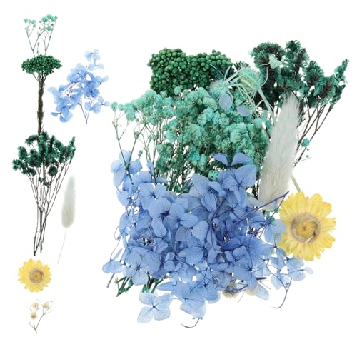 Flores prensadas naturales para manualidades 1 unidad