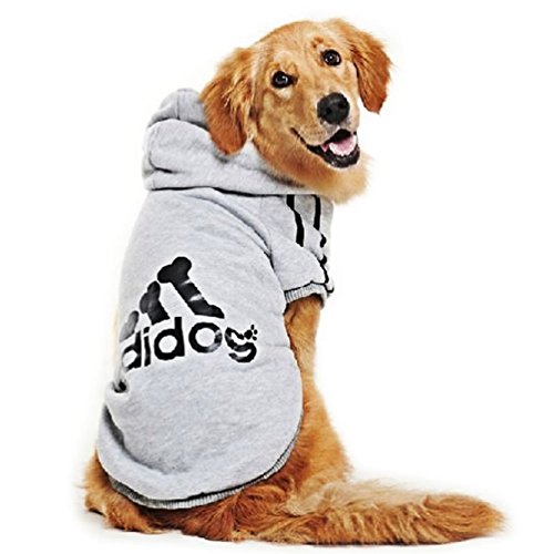 Zaini per cani