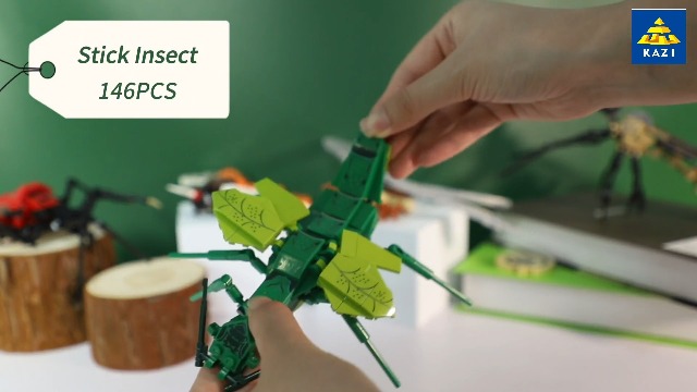 bugbug@様 リクエスト 3点 まとめ商品 Jacob's Bug Collection ~ Lift-a-Flap Board Book + downloadable