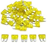 55PCS Car Fuses Kit, Standard Mini Blade Type Automotive Fuses, Short Circuit Protection Car, for Marine, RV, Boat, Truck (20A)
