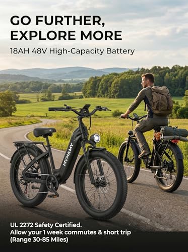 tokera 2000W All-Terrain Fat Tire Ebike