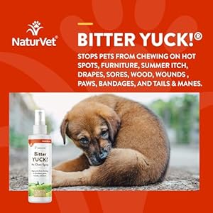 NaturVet Bitter Yuck! No Chew Spray for Dogs, Cats, and Horses Pet Training Spray, Liquid, Made in The USA, 8 Ounce