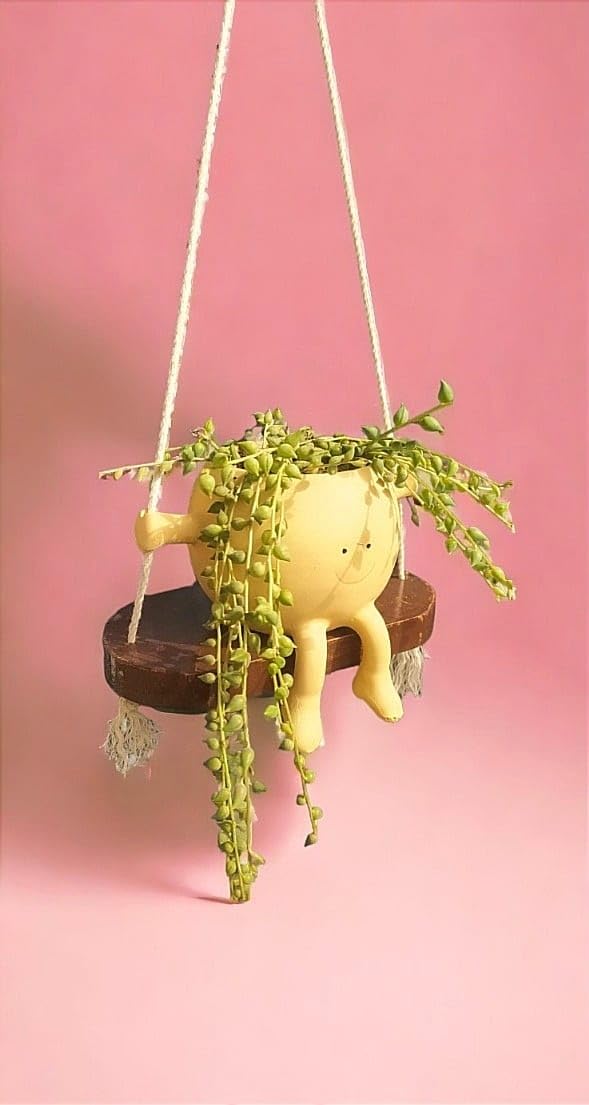 Round Hanging Ceramic Smiley Face Pot/Planter on Wooden Plate, swing design for Indoor, Outdoor