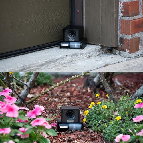 Do Ultrasonic Pest Repellents Work? Best Outdoor Ultrasonic Pest