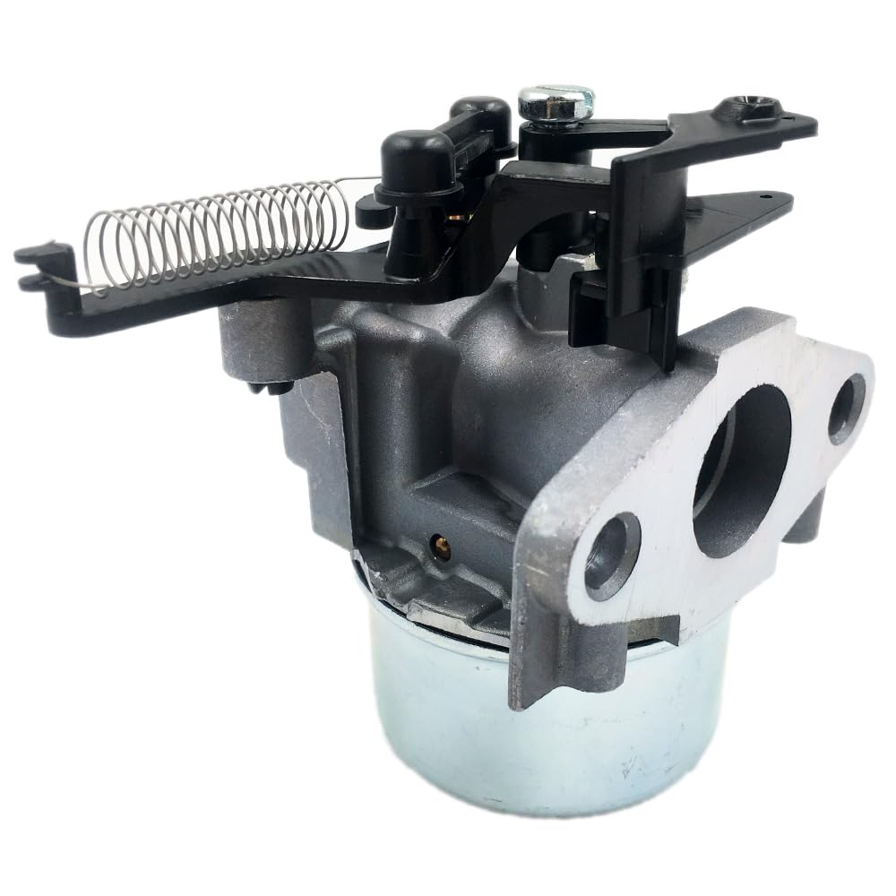 Amazon.com: LIZAPUS Carburetor Carb Compatible with Briggs and