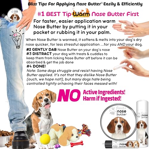 Image of The Blissful Dog Beagle Nose Butter for Dry, Cracked Skin, Lick-Safe Dog Nose Balm with Moisturizing Shea Butter, Almond, Olive, and Essential Oils, Pet Supplies, Uncented, 2 oz.