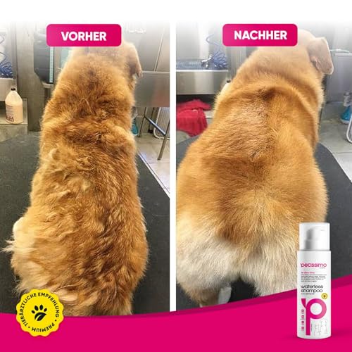 Petissimo Trockenshampoo für Hunde & Katzen – Wasserloses Fellshampoo ohne Ausspülen – Sanfte Fellpflege für zwischendurch – Für alle Rassen & Felltypen