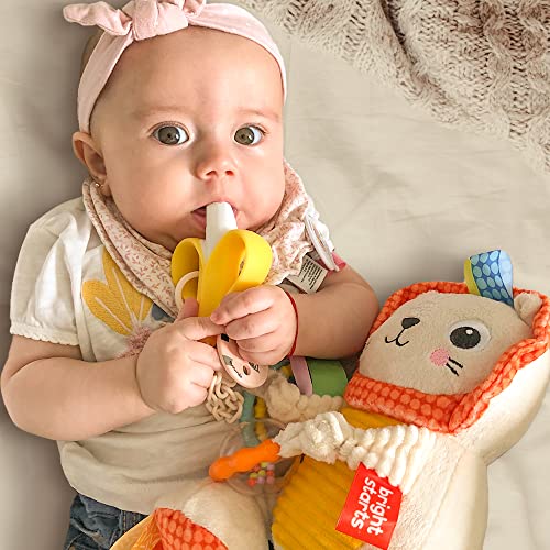 Cuidados E Higiene, Drugstore nenedent Marca uunida (2)