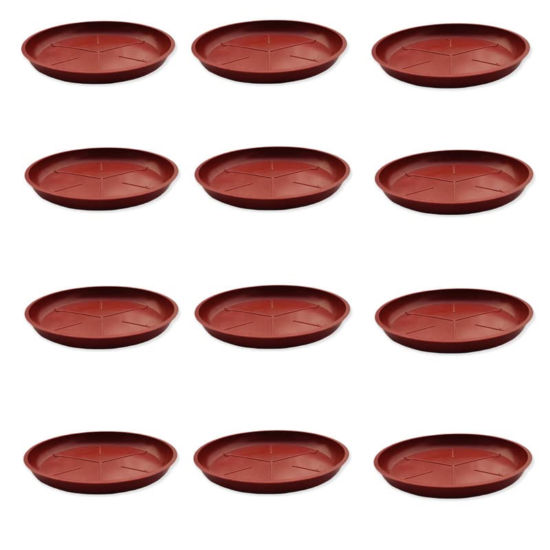Zeonely Mart Plastic Plates (Tray/Saucer) For Planter Pots, Brown Color, 6 inch, pack of 12 pcs (B09Z97JVQ4) Amazon Price History, Amazon Price Tracker