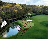 Ian Poulter autographed 8x10 photo (Golfer Amen Corner The Masters)