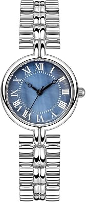 Reginald Fashion Luxury Vintage Dial Watch Womens Alloy Bracelet Watches Waterproof Quartz Watch