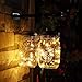 Twinkle Star 20led 6.5 FT Fairy Copper String Lights Cell Battery Operated with Screwdriver, Firefly Lights Starry String Lights for Indoor, Outdoor, Party, Table Decoration, 6 Pack (Warm White)