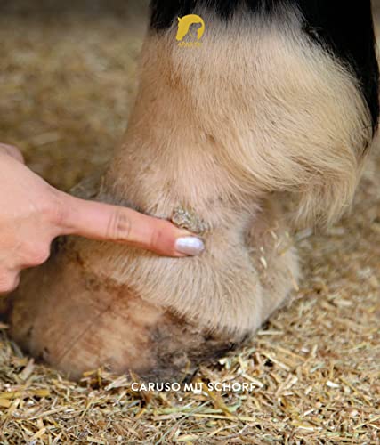 Aran-ya Anti Schorf-Salbe für Tiere 100g, bei Wunden/Krusten, nimmt den Juckreiz, fördert schnelle Heilung/Wundregenerierung, das Fell kann Wieder wachsen, rein natürliche Inhaltsstoffe
