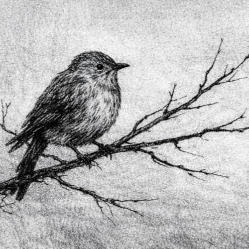 The Darkling Thrush, by Thomas Hardy