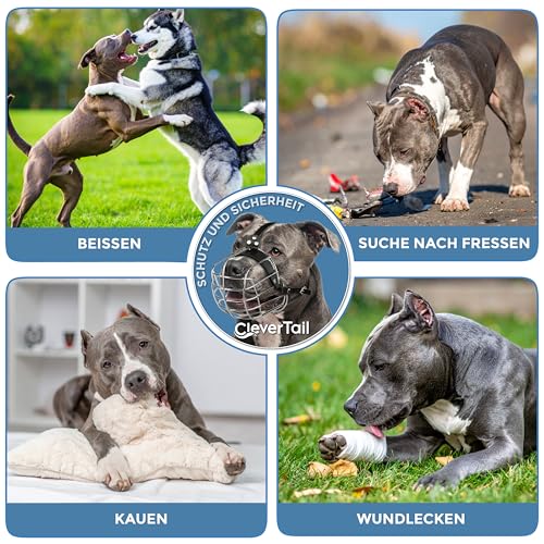 CleverTail Metall-Maulkorb für Pitbull – Körbchen-Maulkorb mit verstellbaren Lederriemen – Stahl-Käfig-Maulkorb zum Verhindern von Beißen – Mundschutz für große und mittelgroße Pitbulls und Bully