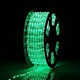 Buyagn 100ft LED Rope Lights, Green Rope Lights Outdoor, LED Strip Lights Outdoor Waterproof, Decorative Lighting for Indoor/Outdoor, Garden, Halloween and Christmas Lights Outdoor(Green)