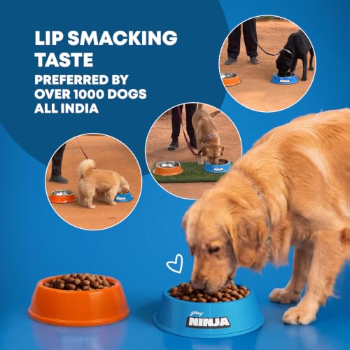 Image of Godrej Ninja Adult Dry Dog Food, 2 KG, Chicken & Multigrain, Gut Health