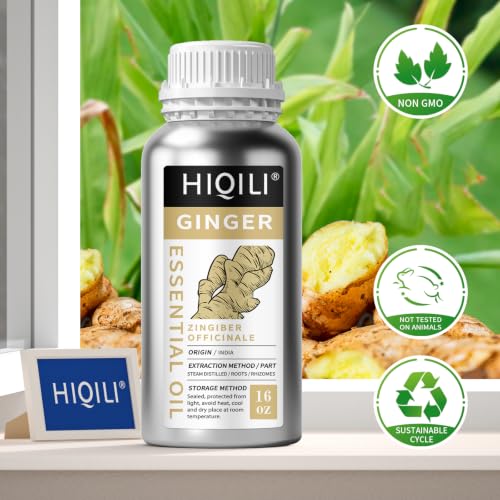 Image of HIQILI Ginger Oil for Hair, Massage & Skin | Large Bottle for Extended Use, Body & Scalp, Soothes Tired Muscles after Activity, DIY Blends & Diffuser - 500mL / 16 fl oz