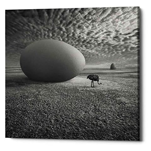Epic Graffiti EggO Giclee Canvas Wall Art, 26" x 26" Cover