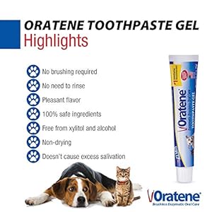 Pet king brands zymox oratene brushless toothpaste gel for dogs and cats 2 5oz   cucciolini doodles