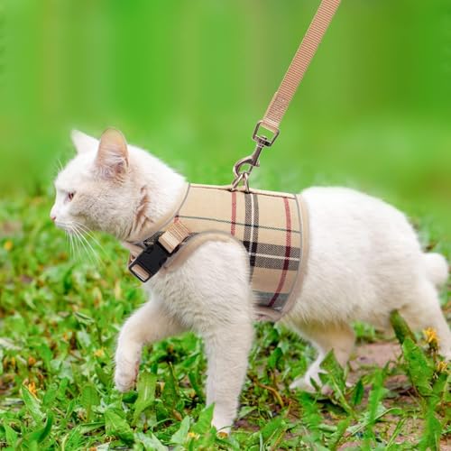 BINGPET Cat Harness and Leash Escape Proof - Soft and Air-Mesh Kitten Travel Walking Harness - Vest Harness for Small Medium Large Cats & Puppy Dog & Rabbit, Medium
