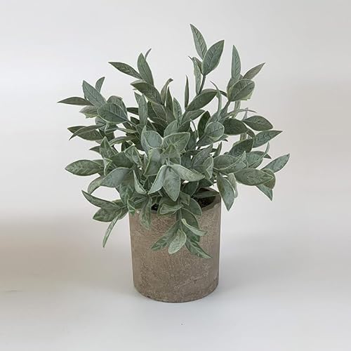 uTuokusvlHϗtA  A G} tFCNO[ CeA  O[ fR[V ͂Ȃ  {   sv bsv  Vzj ̓ ̓MtgՂ葡蕨 FZHuaj09