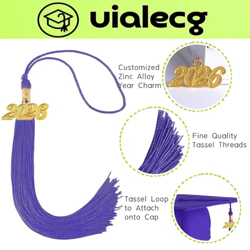 Image of Graduation Tassel 2026 for Grad Cap,Purple Tassel with Gold Charm