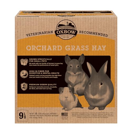 Oxbow Animal Health Orchard Grass Guinea Pig Hay Rabbit Hay Small Pet Bunny Supplies All Natural Grass for Guinea Pig Bunny Chinchilla & Hamster Oxbow Rabbit Supplies for Bunnies 9 lb. box