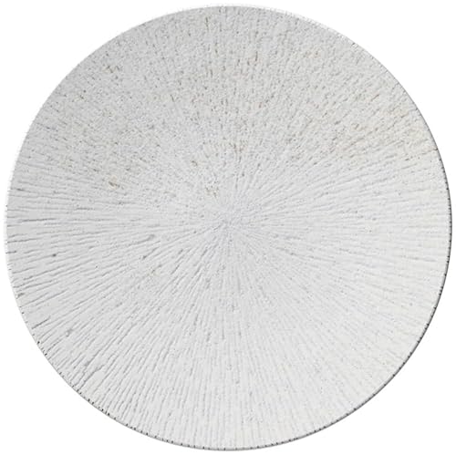 皿 19cm ケーキ皿 雪嵐 食器 おしゃれ 業務用 美濃焼 k18127006