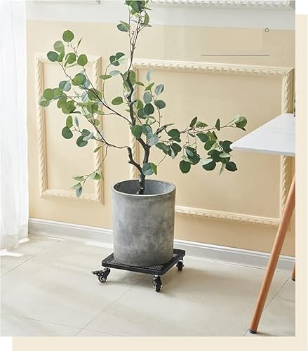 MANGGUO Quadrat Metall Pflanzenroller Outdoor mit Bremse, Blumenroller Außenbereich und Innenbereich, Pflanzenroller mit Softrollen für Parkett, Schwerlast,Schwarz, (40 * 40cm)