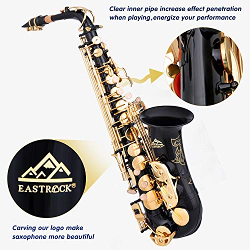 eastrock blackgolden alto saxophone e flat sax full kit for students beginner with carrying casemouthpiecemouthpiece cushion padscleaning clothampcleaning rodwhite glovesneck strap