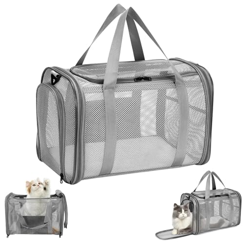 Quuylin Trasportino per Gatti, Borsa Trasportino Cani Gatti con Tracolla, Trasportino Gatto Portabile e Traspirante, Borsa Pieghevole per Cuccioli per Treno, Viaggi(42x26x29cm)
