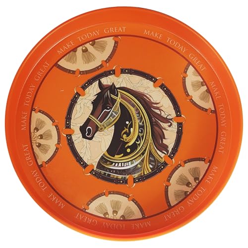 Oasis Choice Decorative Tray, Party and Coffee Table Tray, 10