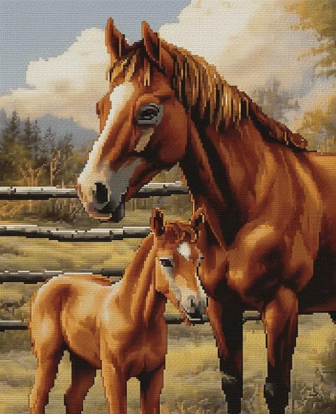 Image of 11 CT Cross Stitch Kits for Beginners Horse Mother Love Printed Stamped Cross-Stitch Supplies Needlework Printed Embroidery Kits DIY Kits Needlepoint Starter Kits 51x62cm