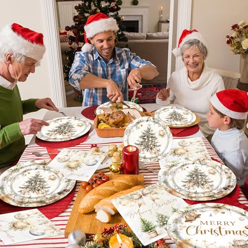 Christmas Paper Plates and Napkins, Vintage Plates Napkins Disposable Holiday Party Supplies for Christmas Party Decorations, Serve 20 – Image 3