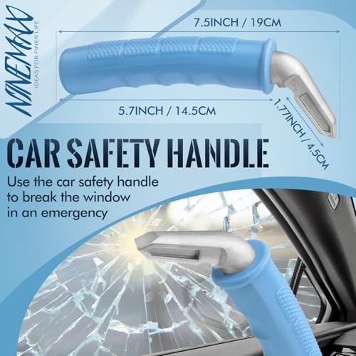 NINEMAX Einstiegshilfe Auto Senioren, Ausstiegshilfe Auto für Ältere Menschen, Haltegriff Autogriff Zum Aussteigen Mobilitätshilfe Grip Helfer,1 Stück (Hellblau)
