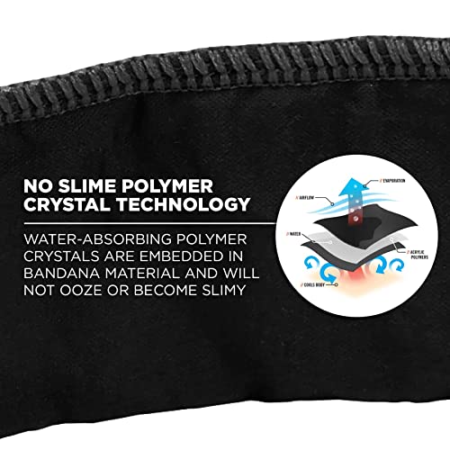 Image of Ergodyne Chill-Its 6702 Cooling Bandana, Evaporative Polymer Embedded Material for Cooling Relief Black, 1 Count (Pack of 2)