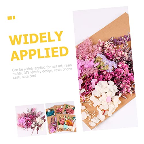Kit de Flores Secas para Manualidades Zerodeko miniatura 3